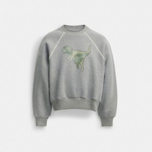 Bluza Coach Rexy Crewneck Damskie Szare | PLBEH591