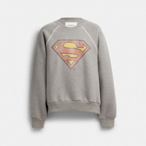 Bluza z Kapturem Coach | Dc Superman Crewneck Damskie Ciemny Szare | PLILI664