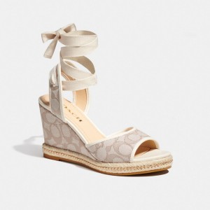 Buty Casual Coach Page Wedge Damskie Szare | PLNWF751