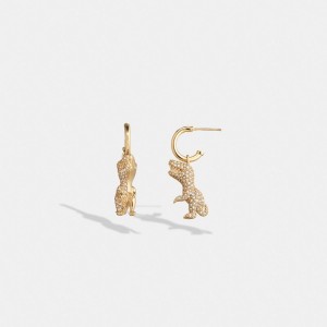 Earring Coach Pavé Rexy Huggie Damskie Złote | PLFDI529