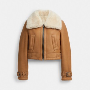 Płaszcz Coach Cropped Shearling Aviator Damskie Brązowe Kolorowe | PLLIU690