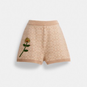 Spodnie Coach X Observed By Us Signature Set Shorts Damskie Beżowe Kolorowe | PLTCC624